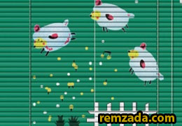 RSN49 - Cừu Trắng